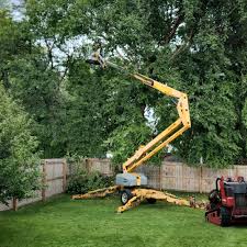 Best Tree Health Inspection  in Conashaugh Lakes, PA